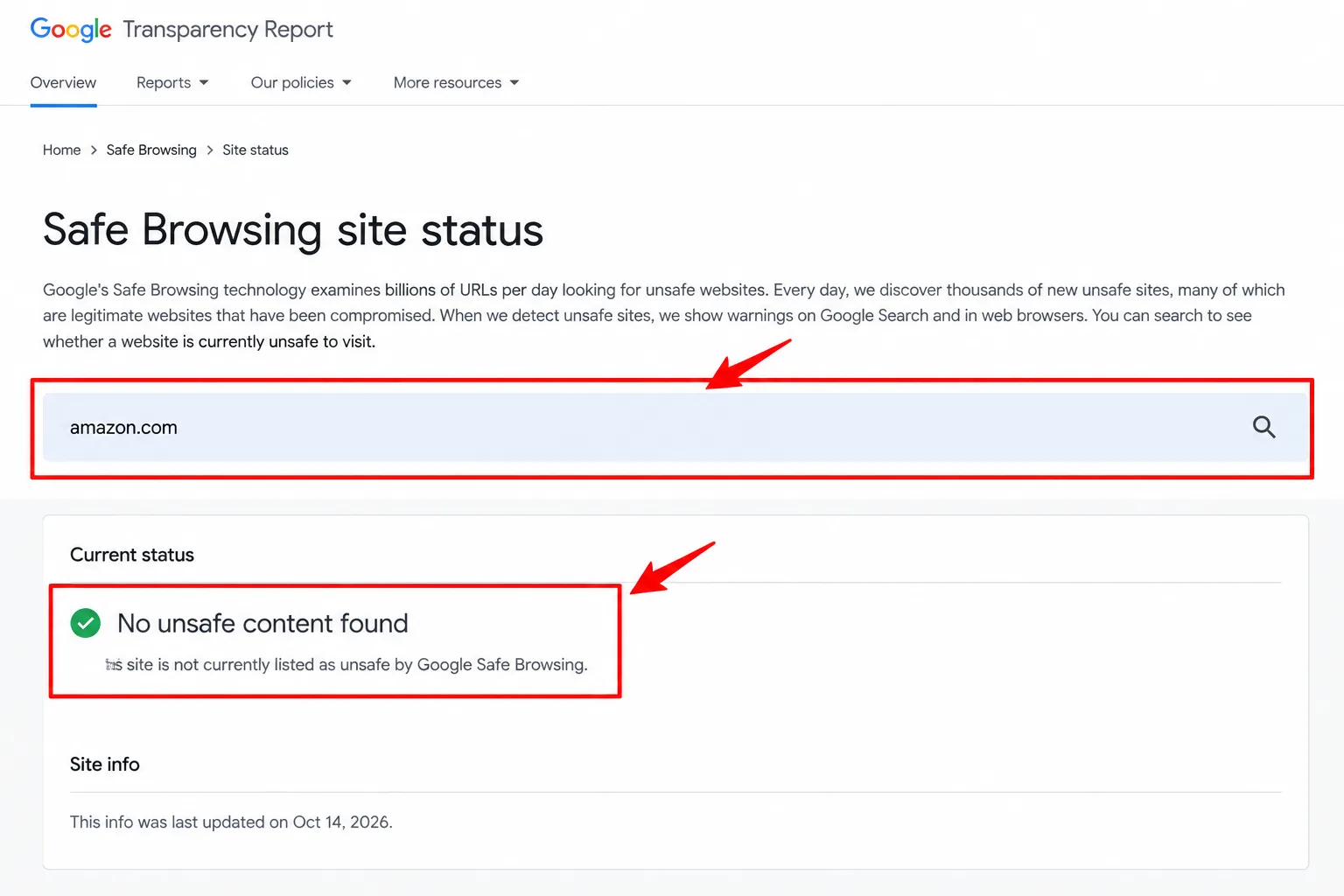 Google's Safe Browsing site status page with a search box and a status result marked